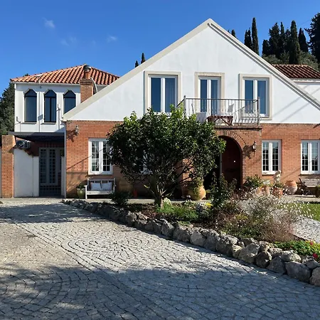 Villa Buddha Arillas (Corfu)