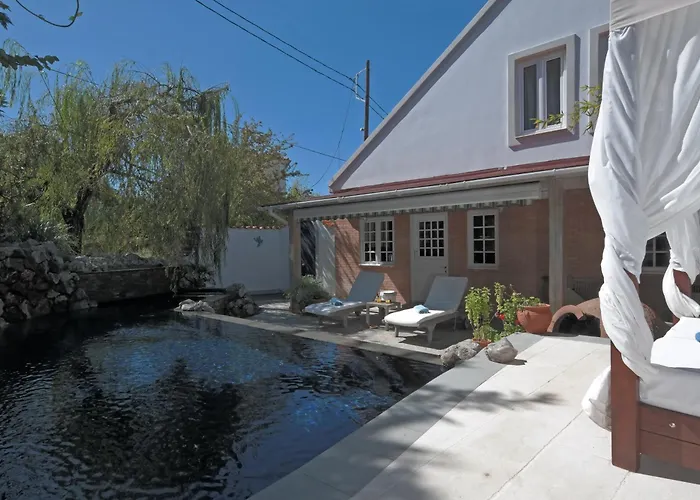 Buddha فيلة أريلاز